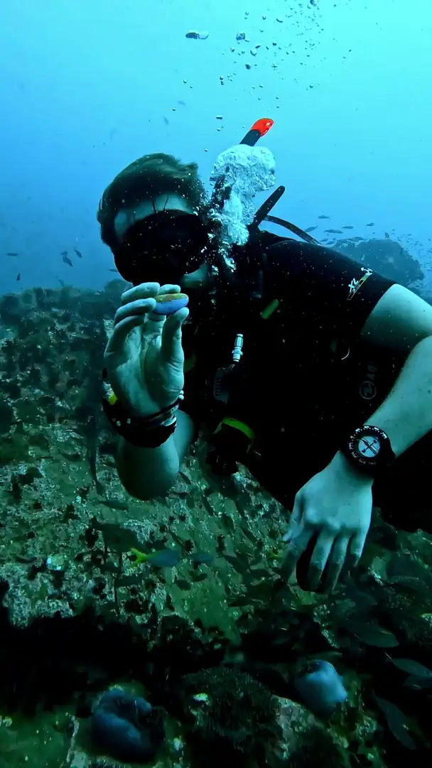 One of my mother's painted stones, on a dive in Thailand
