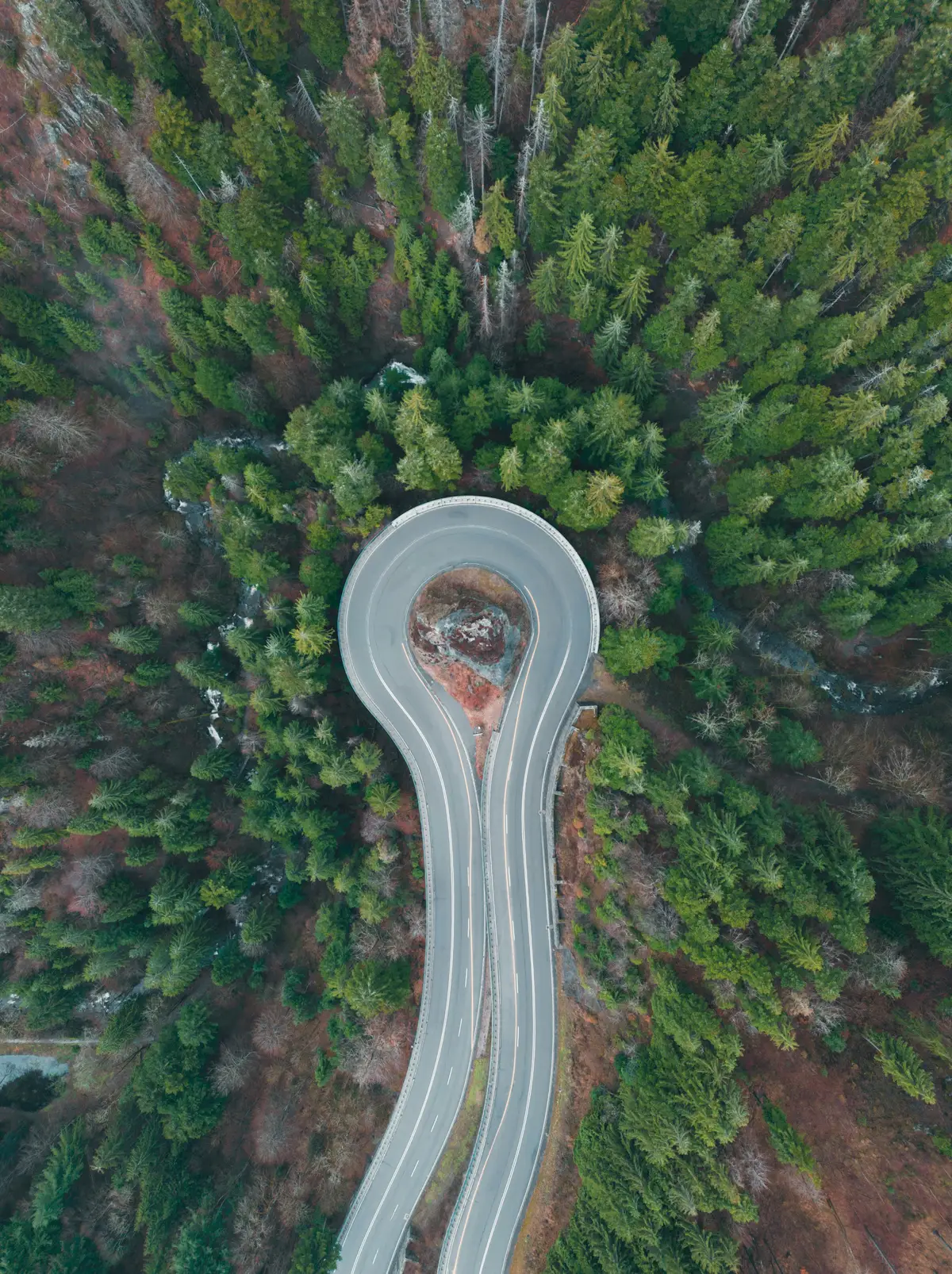 Eine kurvige Straße durch Wald aus der Luft