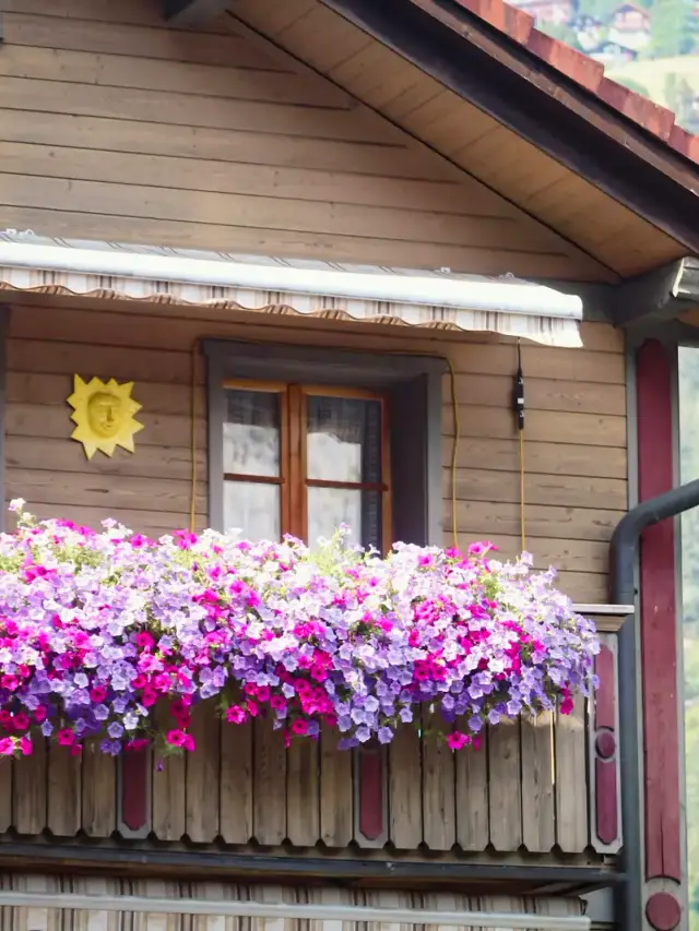Holzbalkon einer Ferienwohnung mit pinken Blumen im Tageslicht