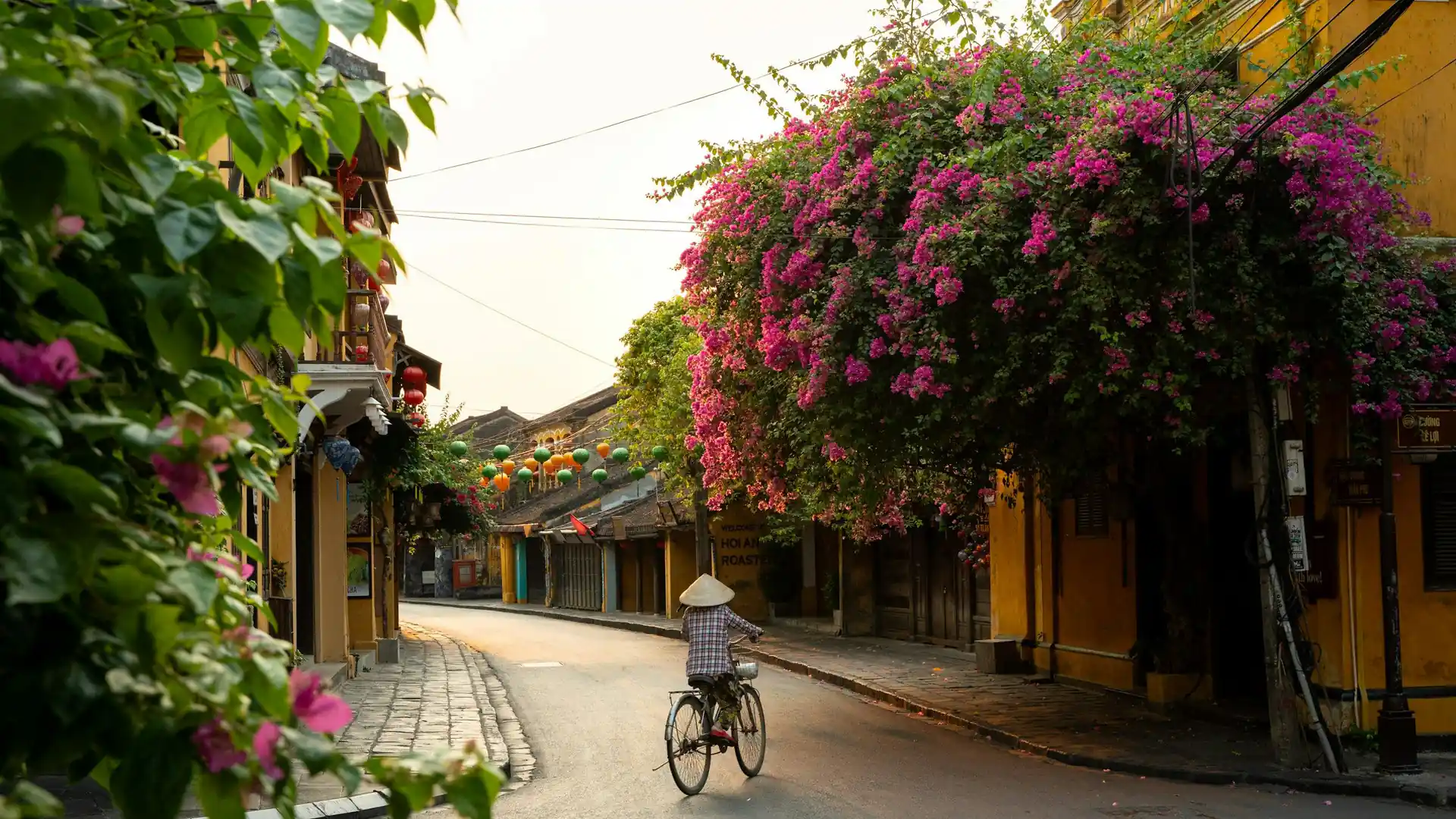 Eine Person fährt morgens mit dem Rad durch eine Altstadtgasse, darüber blühende Bougainvillea