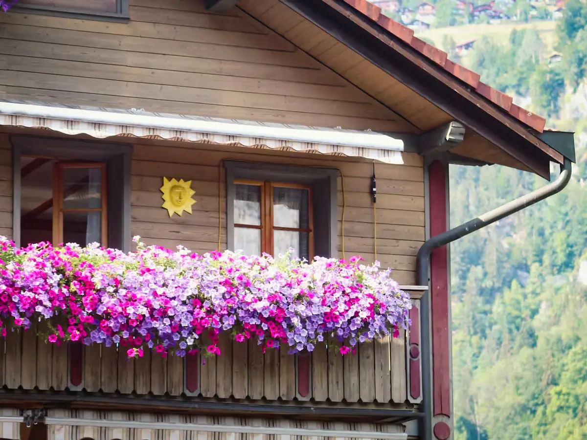 Holzbalkon einer Ferienwohnung mit pinken Blumen vor grünem Hang