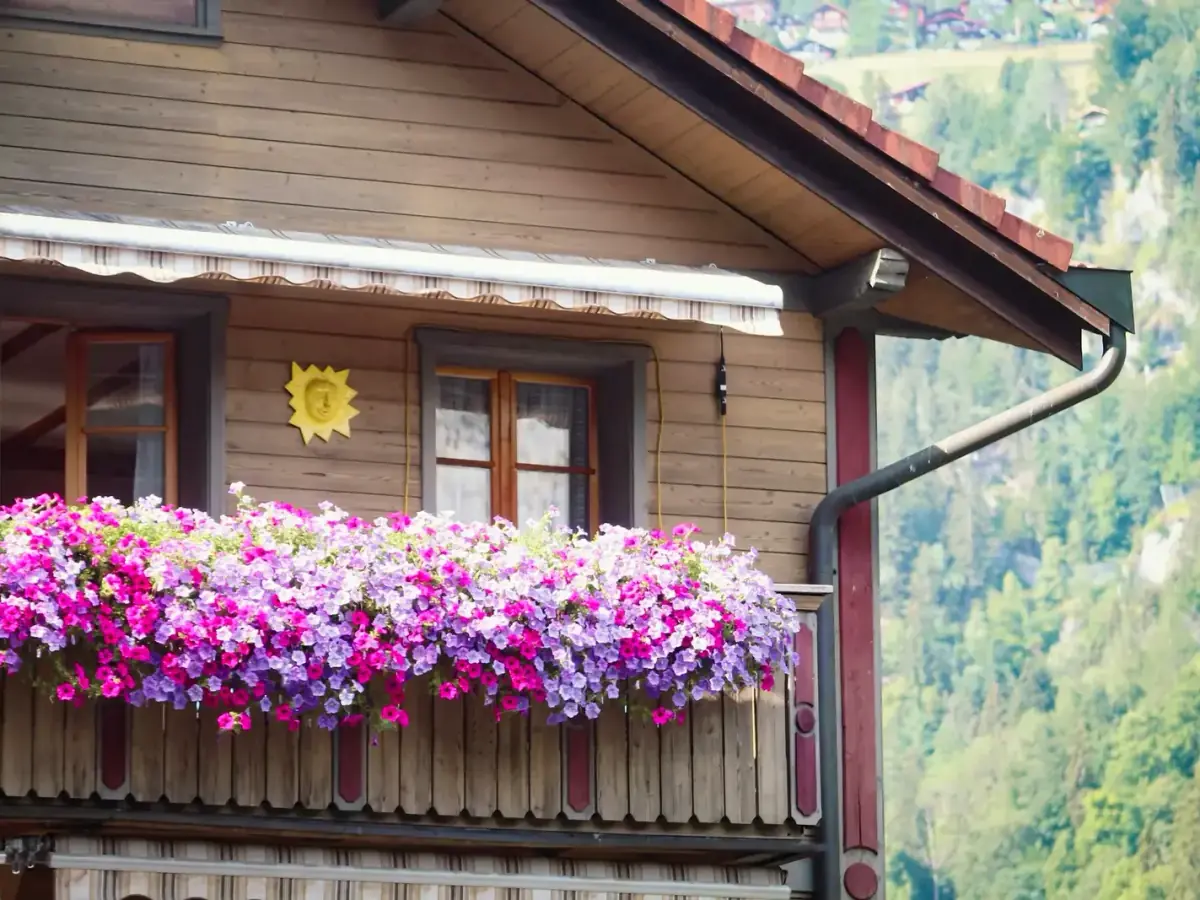 Holzbalkon eines Ferienhauses mit Blumenkästen voller Petunien, dahinter ein bewaldeter Hang